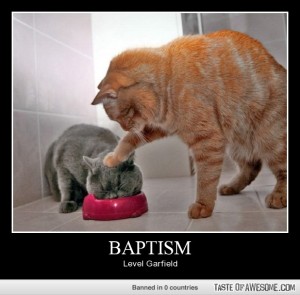 cat baptism